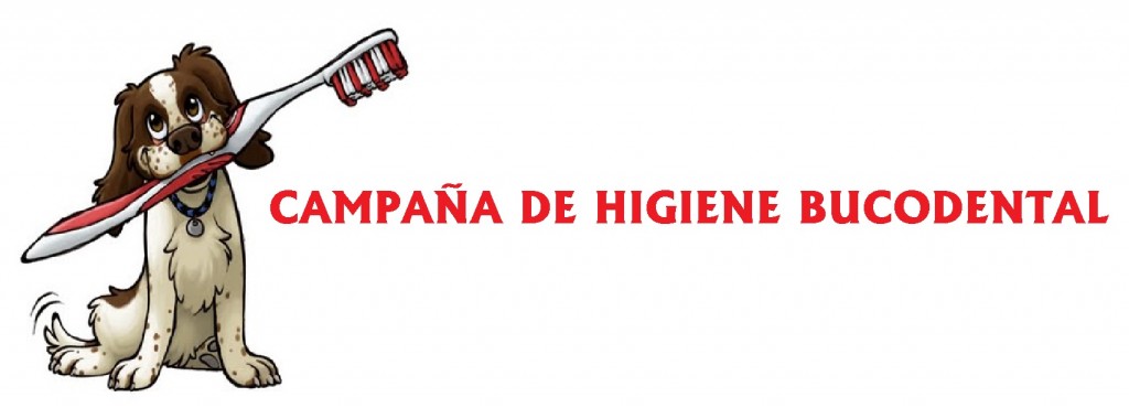 CAMPAÑA