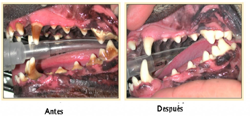 antes y despues
